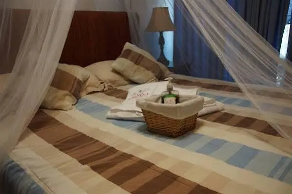 Albergue Casa Adriana Puerto Vallarta Hostal